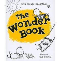 The Wonder Book by Amy Krouse Rosenthal